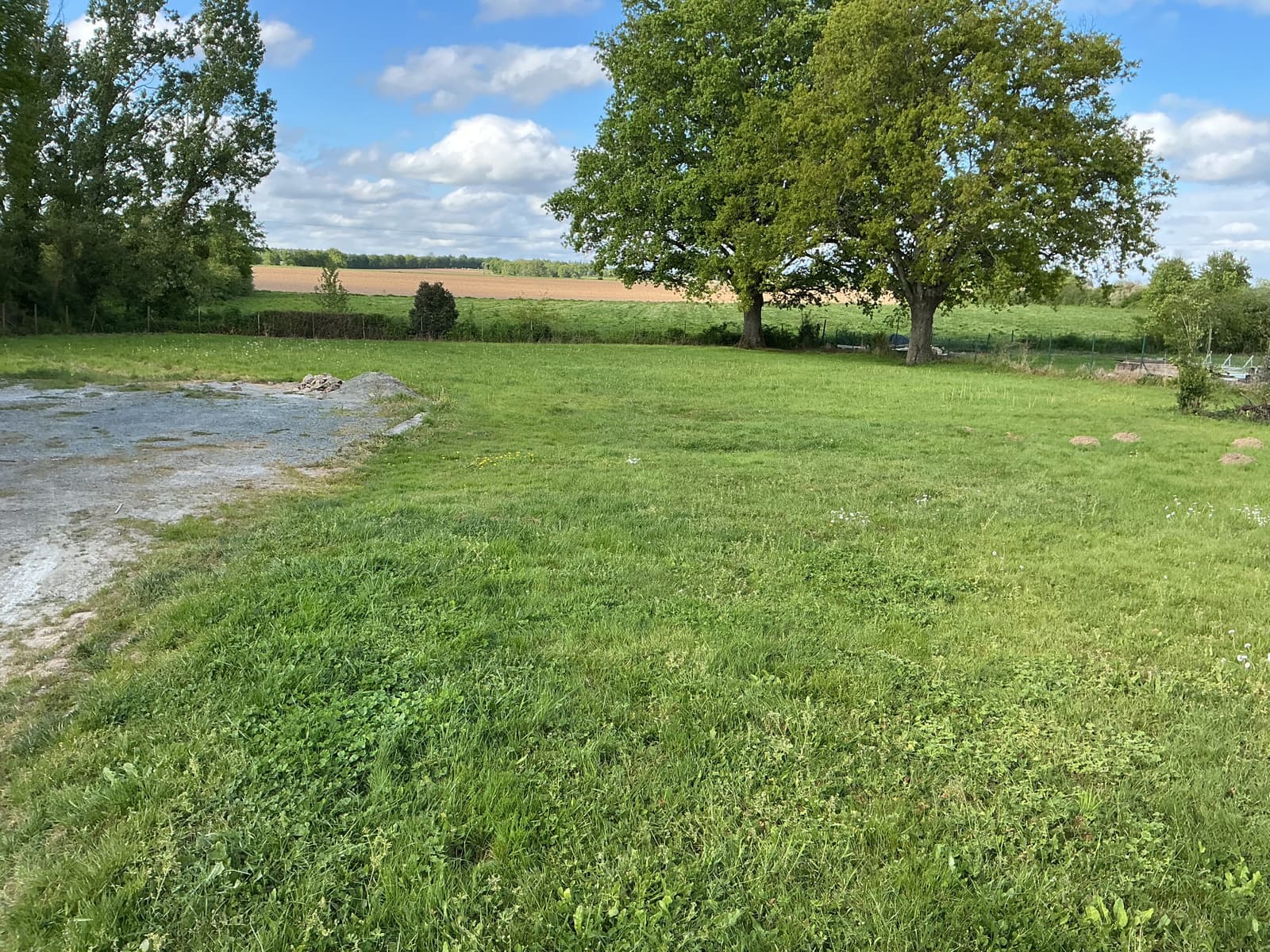 Le grand parc